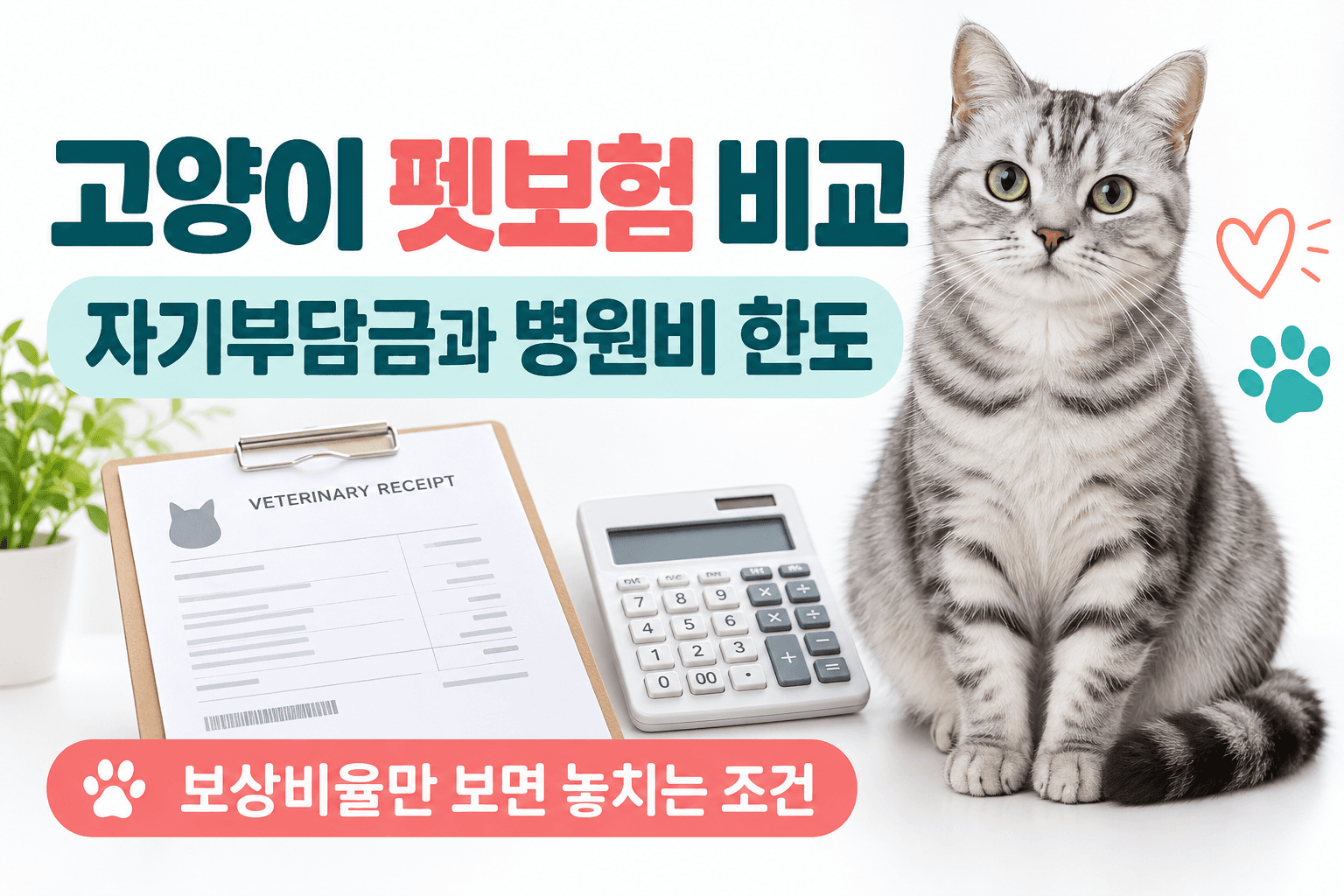 고양이와 계산기로 자기부담금 및 병원비 한도 비교를 표현한 AI 생성 이미지