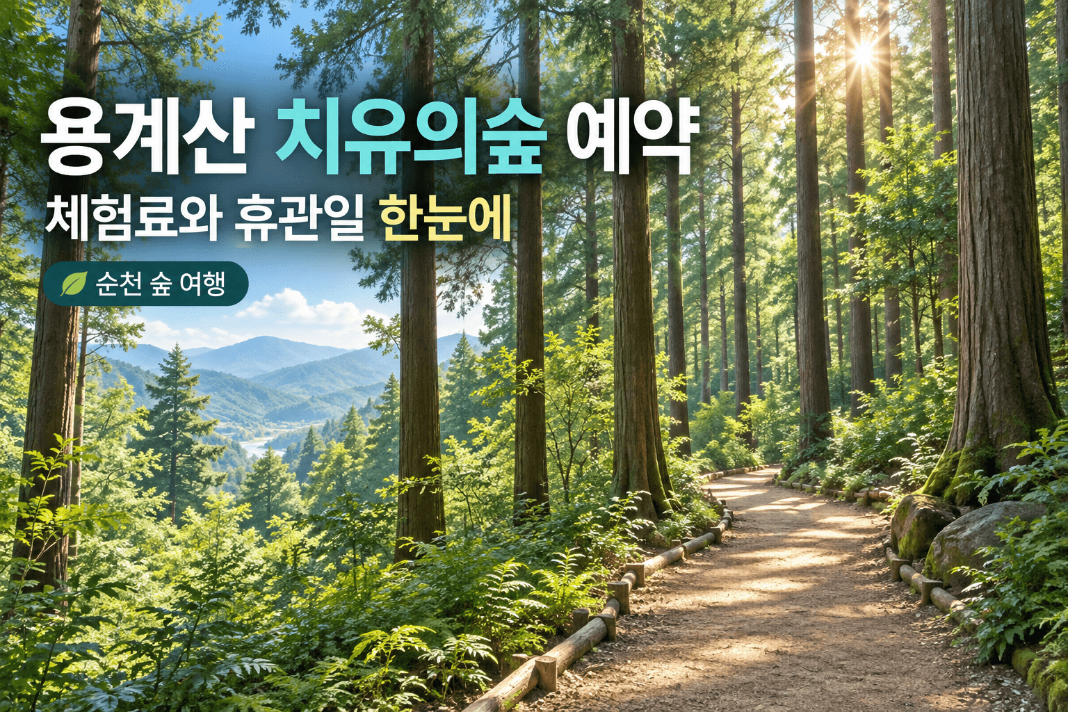 용계산 치유의숲 예약 안내용 편백숲 이미지로 실제 현장 사진이 아닌 AI 생성 이미지